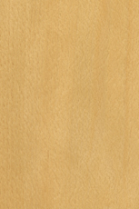 Beech Steamed Grade A